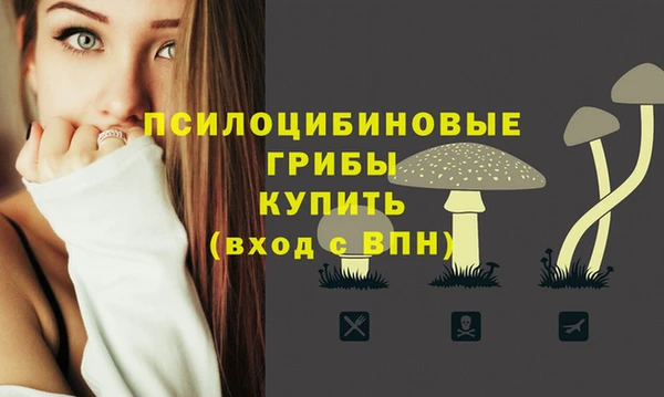 спайс Коряжма