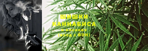 ALPHA PVP Козельск
