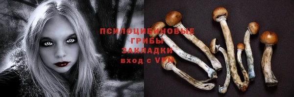 mdma Козловка