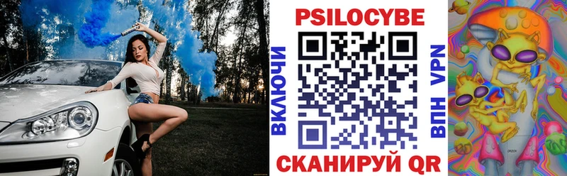 Псилоцибиновые грибы мицелий  Купить закладки  Духовщина 